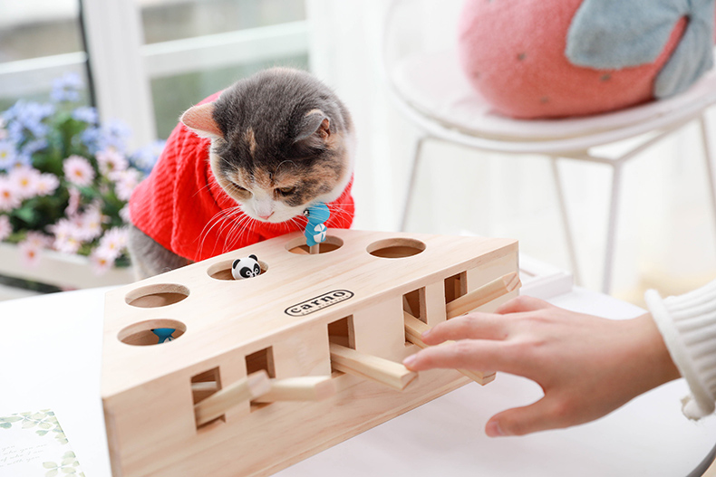 Wooden Pet Cat Toy Play Catch Toy Playing Exercise Toy