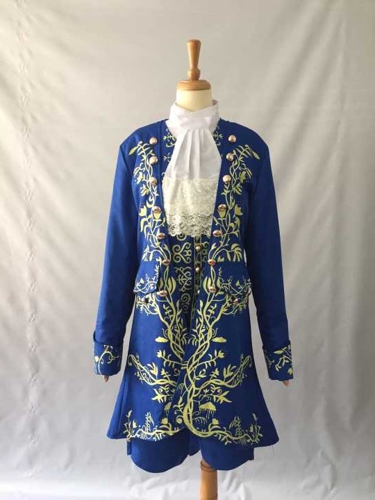 2017 Movie Beauty and The Beast cosplay costume Halloween costumes for adult Prince outfit cosplay Beauty and the Beast costume (2)