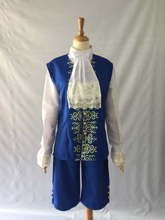2017 Movie Beauty and The Beast cosplay costume Halloween costumes for adult Prince outfit cosplay Beauty and the Beast costume (4)