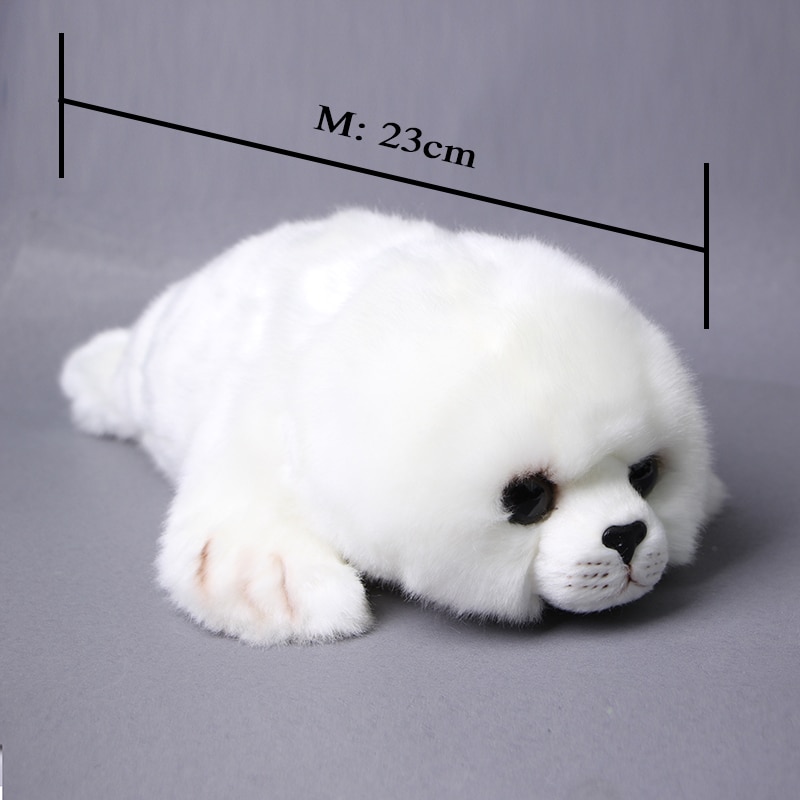 seals M Size_013