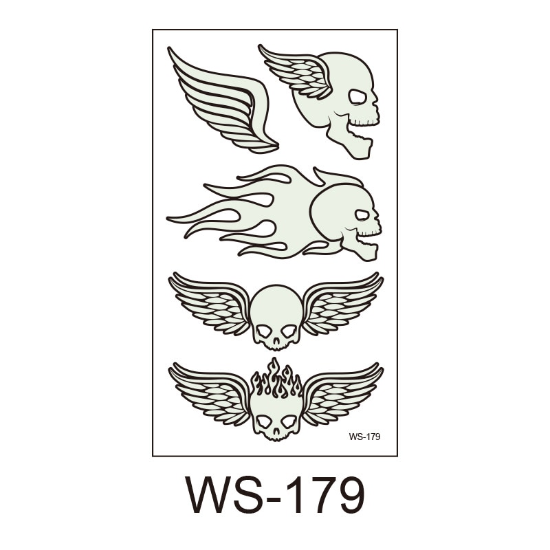 WS-179