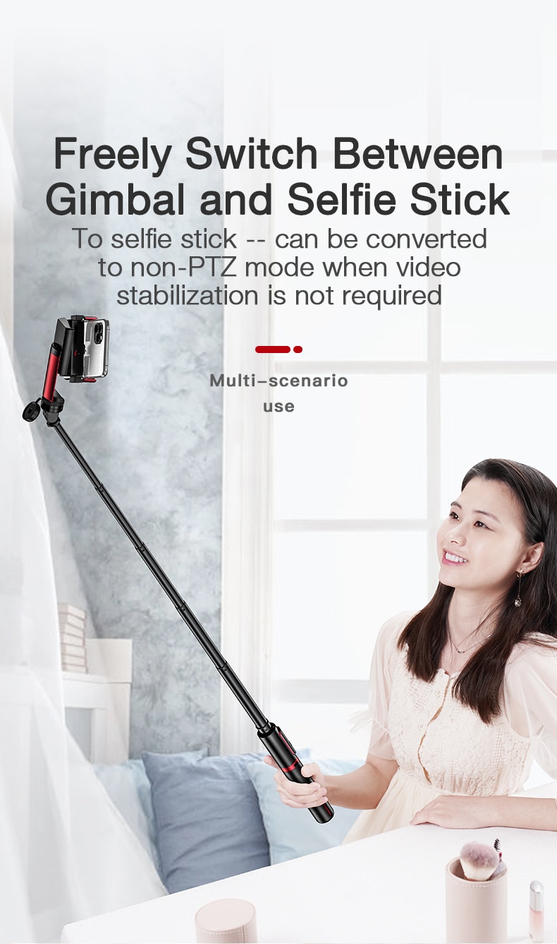 gimbal stabilizer and   (14)
