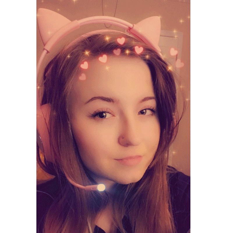 Pink Cat Ear Headphones Noise Cancelling Wired Gaming Headset