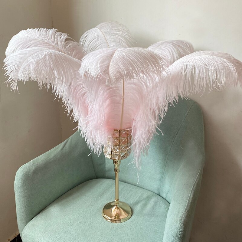 JAROWN Natural Feathers Ostrich Plumes Wedding Party DIY Decoration Feathers Home Crafts Lighting Decorations Carnival Party Halloween Decor (23)