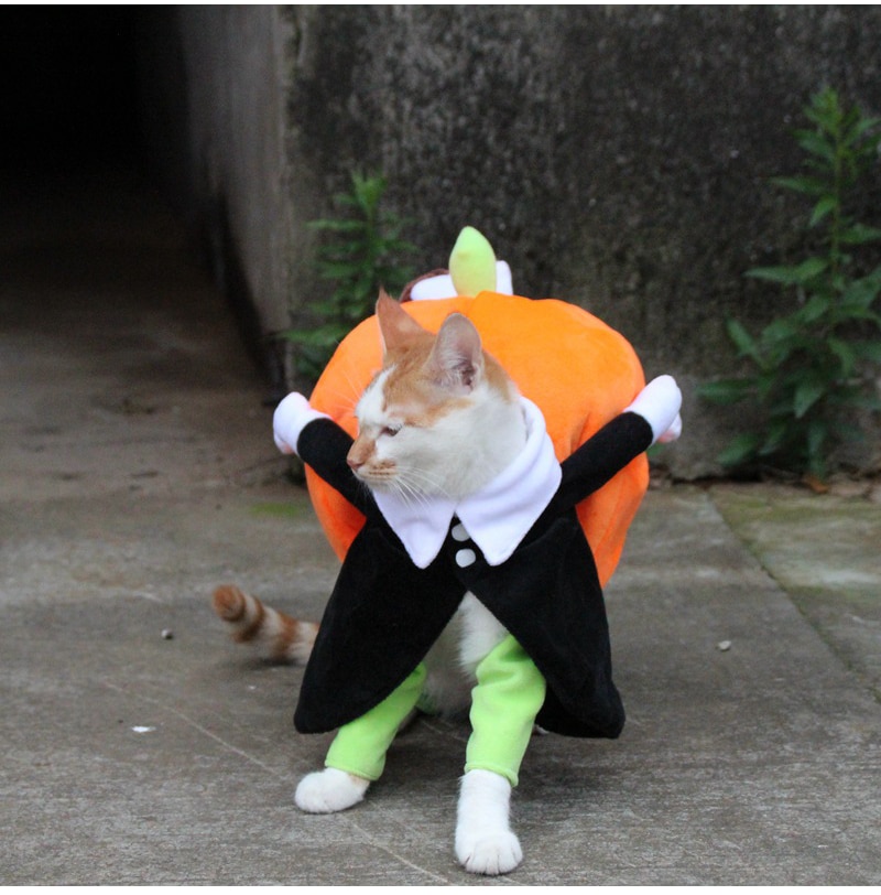 Halloween Funny Pet Cat Pumpkin Costume