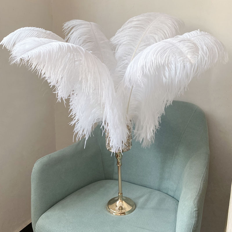 JAROWN Natural Feathers Ostrich Plumes Wedding Party DIY Decoration Feathers Home Crafts Lighting Decorations Carnival Party Halloween Decor (24)
