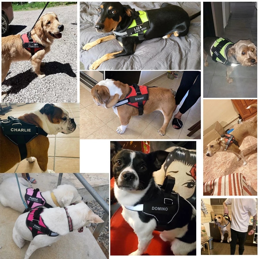 Dog-Harness-Vest-ID-Patch-Customized-Reflective-Breathable-Adjustable-Pet-Harness-For-Dog-NO-PULL-Pet.jpg_Q90.jpg_.webp (1)