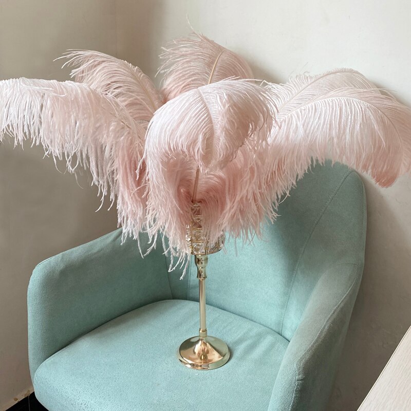JAROWN Natural Feathers Ostrich Plumes Wedding Party DIY Decoration Feathers Home Crafts Lighting Decorations Carnival Party Halloween Decor (20)