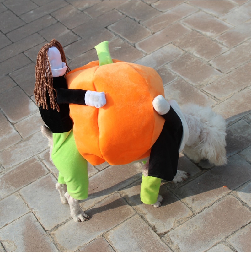 Halloween Funny Pet Cat Pumpkin Costume