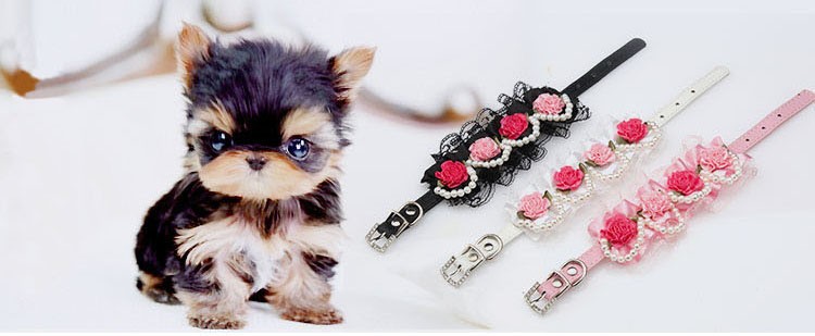 Fancy Pet Cat Collar Leather with Crystal Rhinestone Buckle Design Rose Lace Pearl