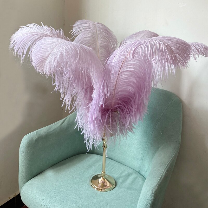 JAROWN Natural Feathers Ostrich Plumes Wedding Party DIY Decoration Feathers Home Crafts Lighting Decorations Carnival Party Halloween Decor (26)