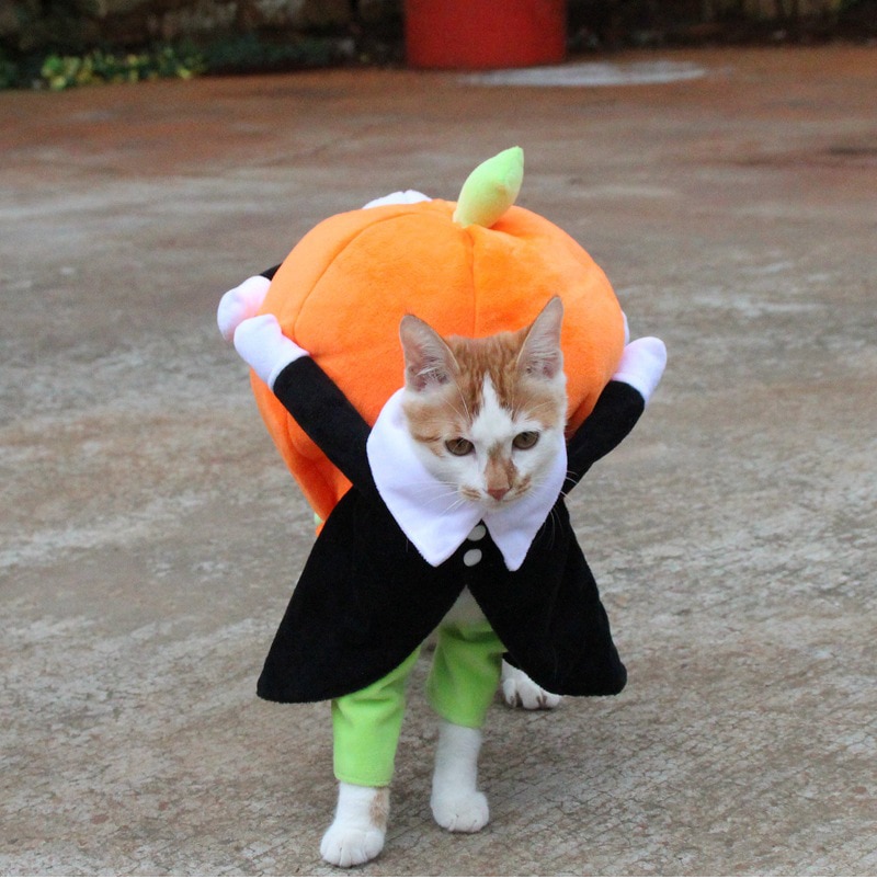 Halloween Funny Pet Cat Pumpkin Costume